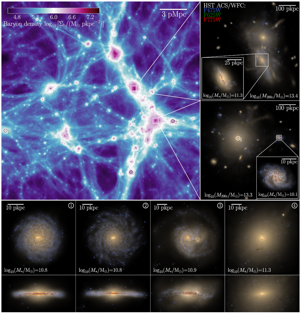 L25m5 image
